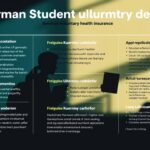 Bild einer Infografik mit Informationen zum Artikel mit der Silhouette eines Studenten im Hintergrund