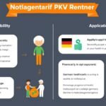 Bild einer Infografik mit Informationen in weißen Kästen und Bildern zum Artikel auf grauem Hintergrund.